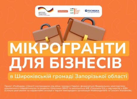 Мікрогранти для бізнесів у Широківській громаді Запорізької області